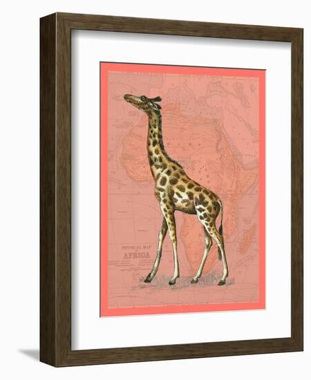 African Animals on Coral II-Studio W-Framed Art Print