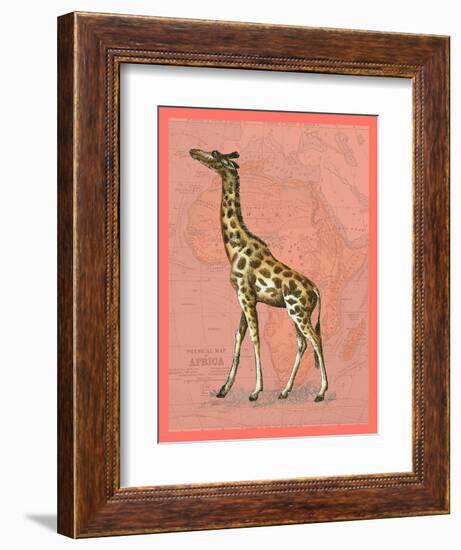 African Animals on Coral II-Studio W-Framed Art Print