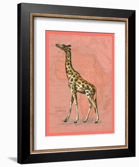 African Animals on Coral II-Studio W-Framed Art Print