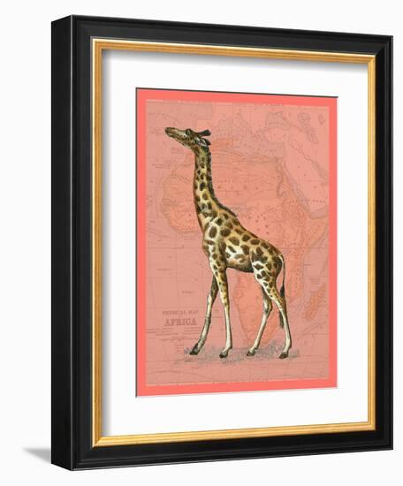African Animals on Coral II-Studio W-Framed Art Print