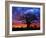 African baobab tree, Tarangire National Park, Tanzania-Adam Jones-Framed Photographic Print