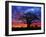 African baobab tree, Tarangire National Park, Tanzania-Adam Jones-Framed Photographic Print