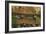 African Black Ducks (Anas Sparsa) in a Lake, Ngorongoro Crater, Ngorongoro Conservation Area-null-Framed Photographic Print