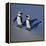 African Black-Footed Jackass Penguin Holding Hands-null-Framed Premier Image Canvas