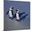 African Black-Footed Jackass Penguin Holding Hands-null-Mounted Photographic Print