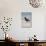 African (Black) Oystercatcher (Haematopus Moquini), De Hoop Nature Reserve, Western Cape, Africa-Ann & Steve Toon-Photographic Print displayed on a wall