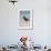 African (Black) Oystercatcher (Haematopus Moquini), De Hoop Nature Reserve, Western Cape, Africa-Ann & Steve Toon-Framed Photographic Print displayed on a wall