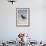 African (Black) Oystercatcher (Haematopus Moquini), De Hoop Nature Reserve, Western Cape, Africa-Ann & Steve Toon-Framed Photographic Print displayed on a wall