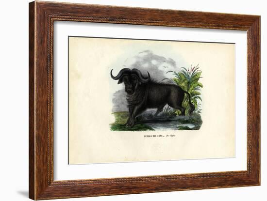 African Buffalo, 1863-79-Raimundo Petraroja-Framed Giclee Print