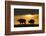 African Buffalo at Sunset-Joe McDonald-Framed Photographic Print