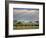 African Buffalo, Serengeti National Park, Tanzania-Ivan Vdovin-Framed Photographic Print