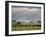 African Buffalo, Serengeti National Park, Tanzania-Ivan Vdovin-Framed Photographic Print