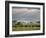 African Buffalo, Serengeti National Park, Tanzania-Ivan Vdovin-Framed Photographic Print