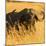 African Buffalo-Joe McDonald-Mounted Photographic Print