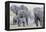 African Bush Elephant Herd, Amboseli National Park, Kenya-Martin Zwick-Framed Premier Image Canvas