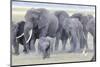 African Bush Elephant Herd, Amboseli National Park, Kenya-Martin Zwick-Mounted Photographic Print