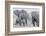 African Bush Elephant Herd, Amboseli National Park, Kenya-Martin Zwick-Framed Photographic Print