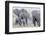 African Bush Elephant Herd, Amboseli National Park, Kenya-Martin Zwick-Framed Photographic Print