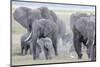 African Bush Elephant Herd, Amboseli National Park, Kenya-Martin Zwick-Mounted Photographic Print