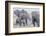 African Bush Elephant Herd, Amboseli National Park, Kenya-Martin Zwick-Framed Photographic Print