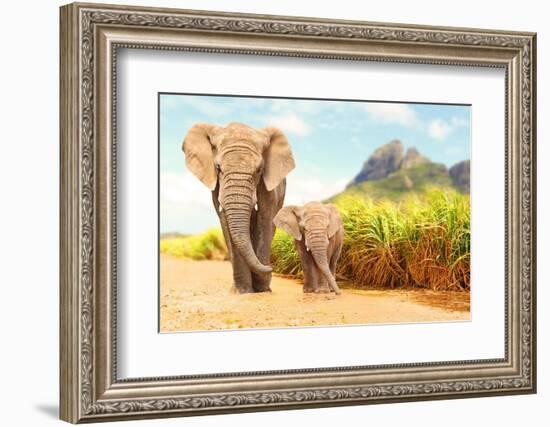 African Bush Elephants - Loxodonta Africana Family Walking on the Road in Wildlife Reserve. Greetin-Kletr-Framed Photographic Print