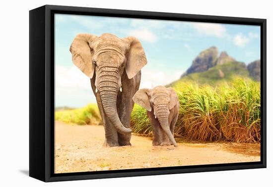 African Bush Elephants - Loxodonta Africana Family Walking on the Road in Wildlife Reserve. Greetin-Kletr-Framed Premier Image Canvas