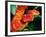 African Bush Viper-David Northcott-Framed Photographic Print