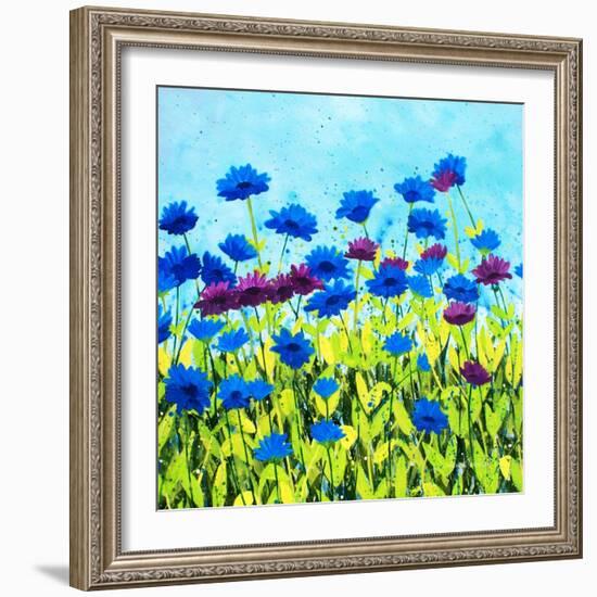 African Daises-Herb Dickinson-Framed Photographic Print