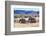 African desert elephant herd with one month old baby, Namibia-Eric Baccega-Framed Photographic Print