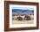 African desert elephant herd with one month old baby, Namibia-Eric Baccega-Framed Photographic Print