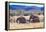 African desert elephant herd with one month old baby, Namibia-Eric Baccega-Framed Premier Image Canvas