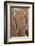 African desert elephant portrait, Hoanib River, Namibia-Eric Baccega-Framed Photographic Print