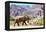 African desert elephant walking in dry Hoanib Riverbed, Namibia-Eric Baccega-Framed Premier Image Canvas