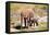 African desert elephant with calf drinking at at a spring, Namibia-Eric Baccega-Framed Premier Image Canvas