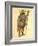 African Elephant 1873 'Missing Links' Parade Costume Design-Charles Briton-Framed Giclee Print