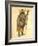 African Elephant 1873 'Missing Links' Parade Costume Design-Charles Briton-Framed Giclee Print