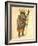 African Elephant 1873 'Missing Links' Parade Costume Design-Charles Briton-Framed Giclee Print