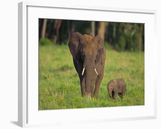 African Elephant and Calf in Grass-DLILLC-Framed Photographic Print