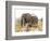African Elephant and Zebra at Namutoni Resort, Namibia-Joe Restuccia III-Framed Photographic Print