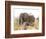 African Elephant and Zebra at Namutoni Resort, Namibia-Joe Restuccia III-Framed Photographic Print