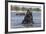 African Elephant Bull (Loxodonta Africana) Bathing in Chobe While Crossing River, Botswana, Africa-Ann & Steve Toon-Framed Photographic Print