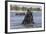 African Elephant Bull (Loxodonta Africana) Bathing in Chobe While Crossing River, Botswana, Africa-Ann & Steve Toon-Framed Photographic Print