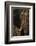 African elephant bull (Loxodonta africana), Zimanga private game reserve, KwaZulu-Natal-Ann and Steve Toon-Framed Photographic Print