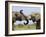 African Elephant, Bulls Sparring with Trunks, Etosha National Park, Namibia-Tony Heald-Framed Photographic Print