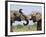 African Elephant, Bulls Sparring with Trunks, Etosha National Park, Namibia-Tony Heald-Framed Photographic Print