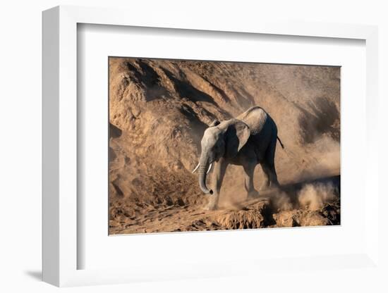 African elephant calf (Loxodonta africana) walking in the dust, Mashatu Game Reserve, Botswana-Sergio Pitamitz-Framed Photographic Print