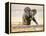 African Elephant Calf on Knees by Water, Kaokoland, Namibia-Tony Heald-Framed Premier Image Canvas