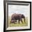 African Elephant Calf with Mother in Savanna-null-Framed Photographic Print