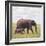 African Elephant Calf with Mother in Savanna-null-Framed Photographic Print