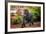 African elephant, Chobe National Park, Botswana, Africa-Karen Deakin-Framed Photographic Print